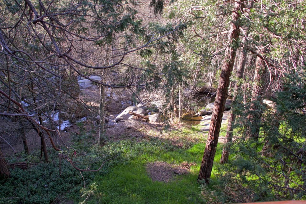 Sierra Springs Villa Oakhurst Kültér fotó
